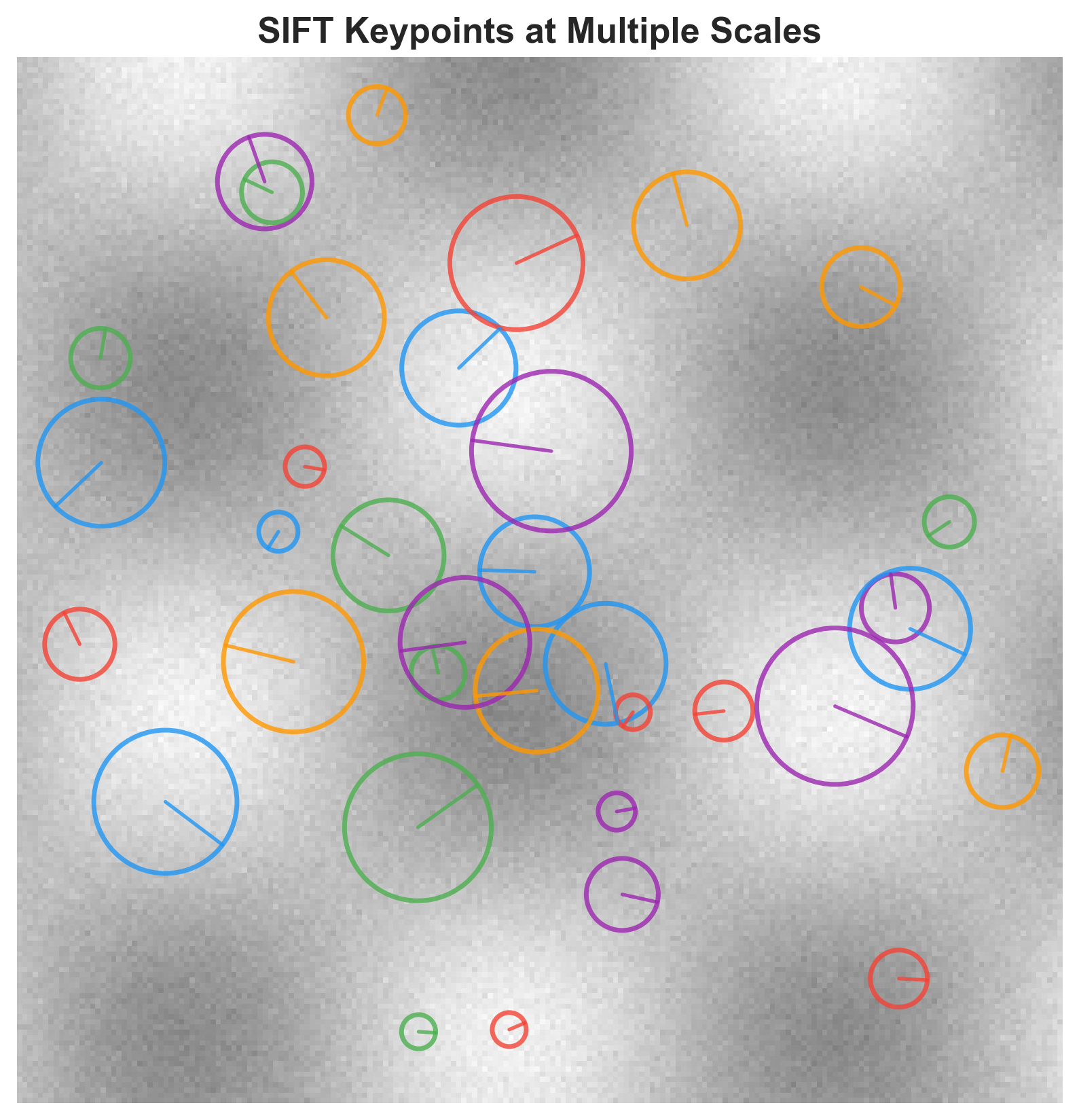SIFT keypoints detected in the source image